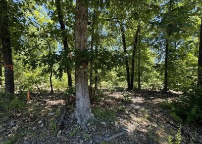 Sparta Community Images (12) Flintrock Homebuilder, Home Builder Springfield MO 2.27.26