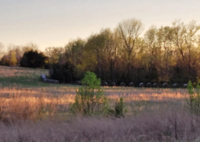 Sparta Community Images (8) Flintrock Homebuilder, Home Builder Springfield MO 2.27.26